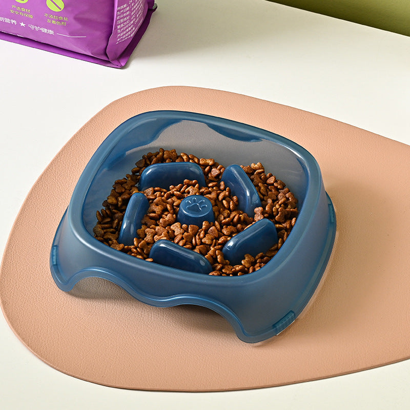 Enhance Your Pet's Feeding Experience with the Anti Choking Slow Feeding Pet Water And Food Bowl