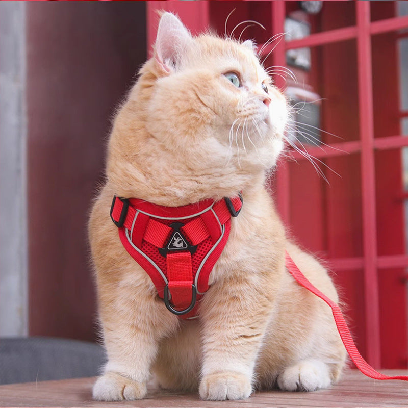 Adjustable Pet Harness Vest With Chest Strap And Leash Set