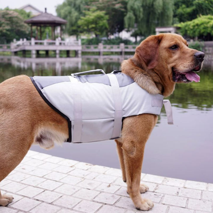 Keep Your Pet Safe and Stylish with Our Adjustable Pet Life Jacket