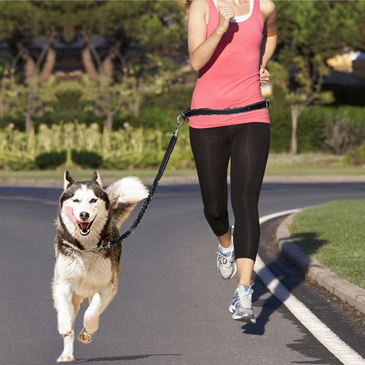 Adjustable Pet Harness Collar Leash For Comfortable Jogging Walks