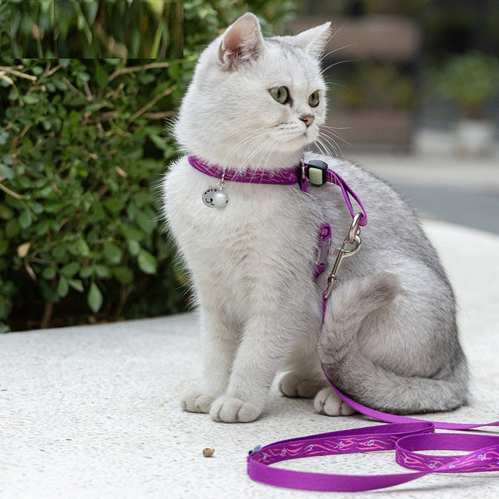 Discover the Pet Bell Vest Harness With Chest Strap And Leash Set