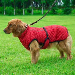 Adjustable Warm Cotton Pet Jacket For Comfortable Winter Wear