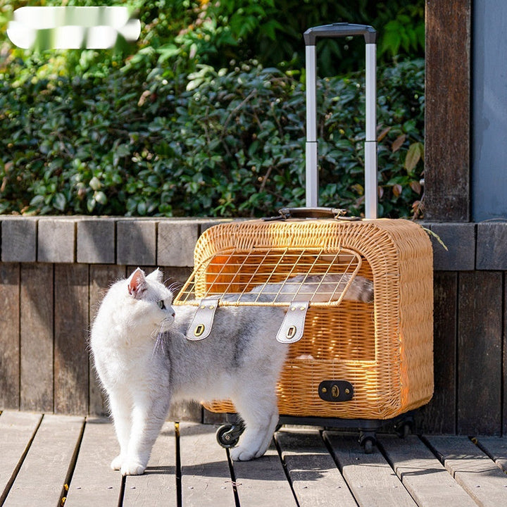 Discover the Ultimate Pet Travel Solution
