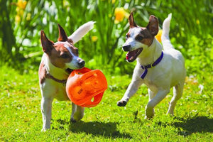 Playtime Made More Exciting
